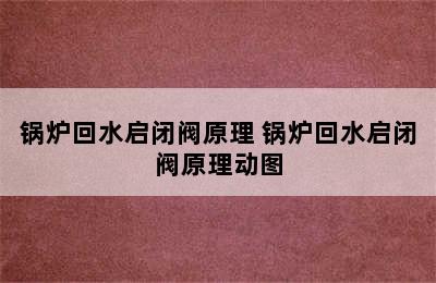 锅炉回水启闭阀原理 锅炉回水启闭阀原理动图